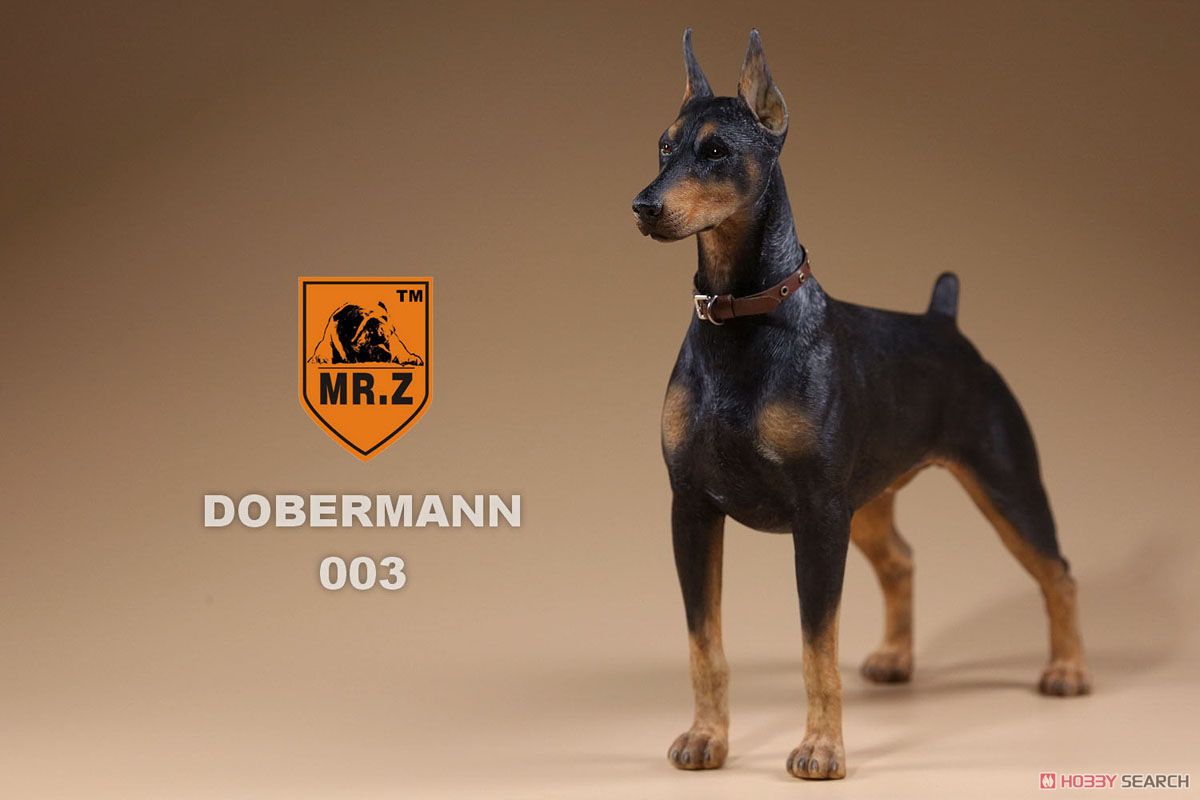 Mr.Z 1/6 Doberman 003 (Fashion Doll) Item picture2