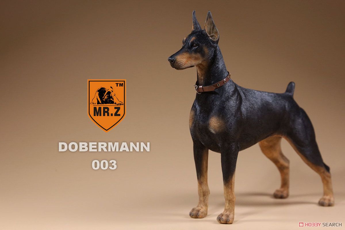 Mr.Z 1/6 Doberman 003 (Fashion Doll) Item picture3
