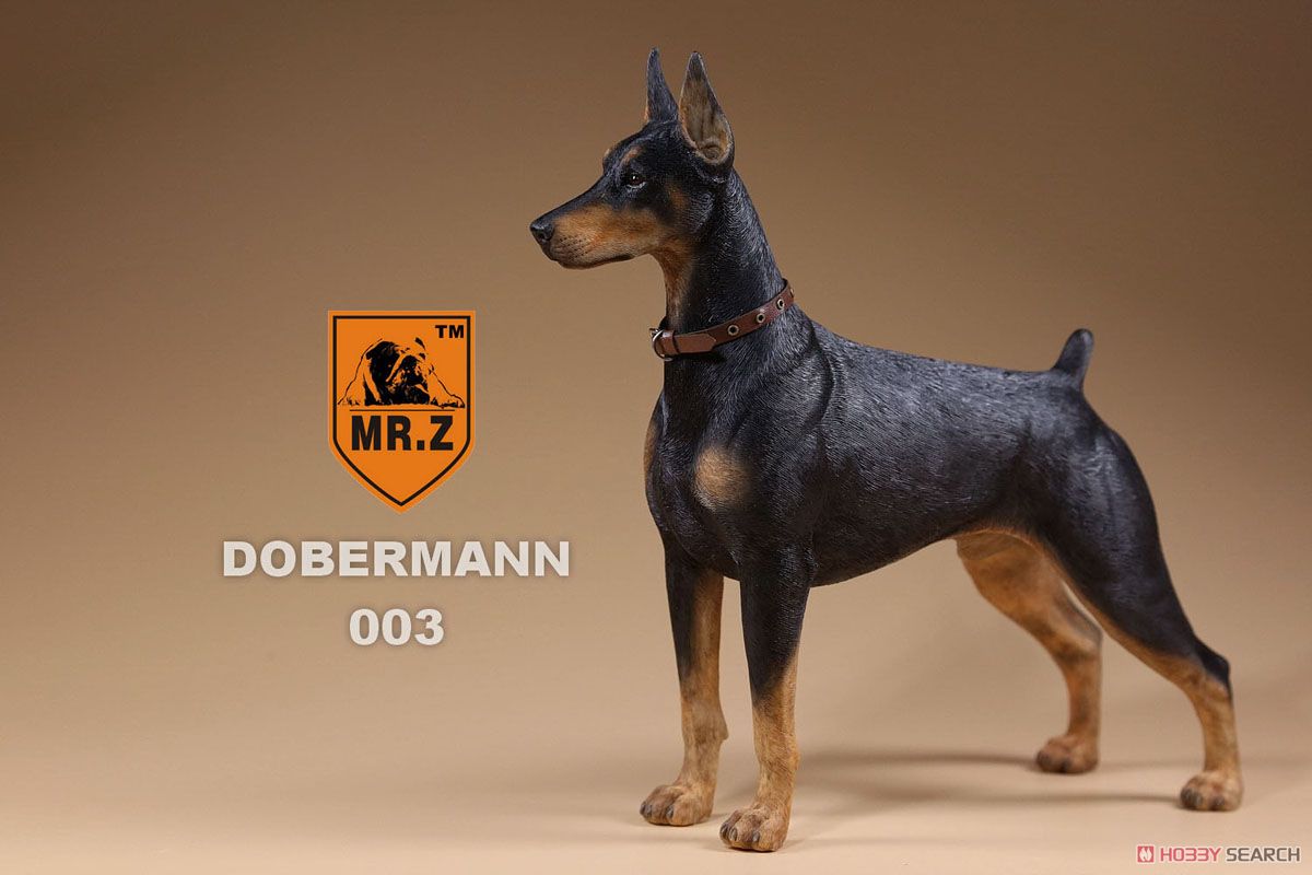 Mr.Z 1/6 Doberman 003 (Fashion Doll) Item picture4