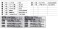 IJN Koh Destroyer Nowaki `Super Detail` (Plastic model) 塗装1 Thumbnail