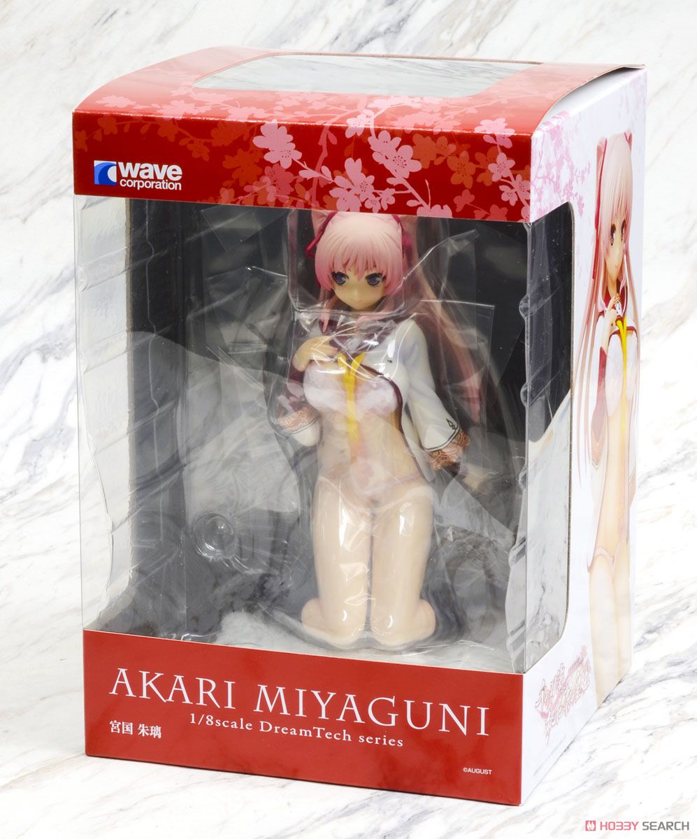 Akari Miyaguni (PVC Figure) Package1