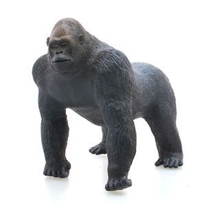 Western Lowland Gorilla Vinyl Model (Animal Figure)