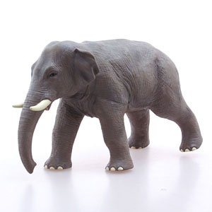 Asian Elephant Vinyl Model (Animal Figure)