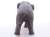 Asian Elephant Vinyl Model (Animal Figure) Item picture4
