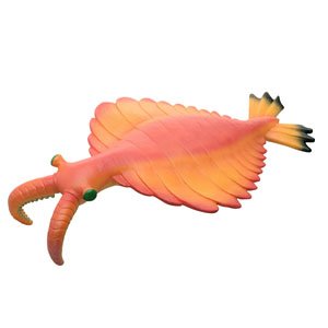 Anomalocaris Vinyl Model (Animal Figure)