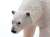 Polar Bear Vinyl Model (Animal Figure) Item picture5