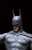 Fantasy Figure Gallery/ DC Comics Collection: Batman 1/6 Resin Statue (Completed) Item picture5