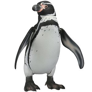ソフビトイボックス011 ペンギン (フンボルトペンギン) (完成品)