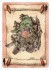 チョコボのダンジョン&モンスターズ (トレーディングカード) 商品画像1 サムネイル