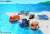Disney Motors Chim Chim Sea Otter (Tomica) Other picture1