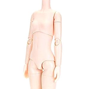 24cm Female Body Bust Size S (Natural) (Fashion Doll)
