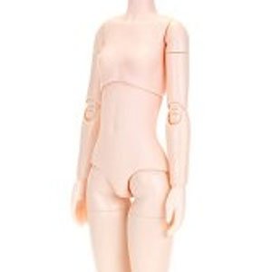 24cm Female Body Bust Size M (Natural) (Fashion Doll)