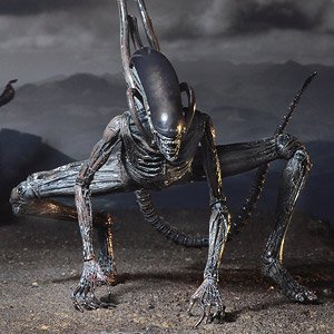 Alien: Covenant/ Xenomorph 7 Inch Action Figure (Completed)