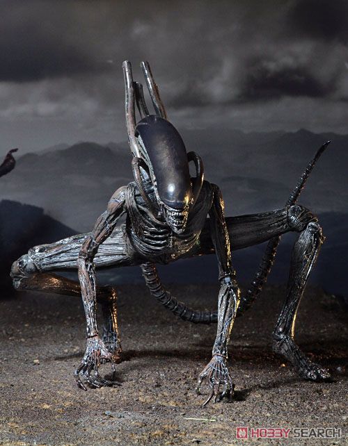 Alien: Covenant/ Xenomorph 7 Inch Action Figure (Completed) Other picture1
