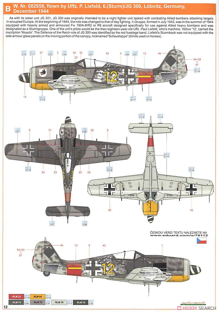 Fw190A-8/FR2 Profipack (Plastic model) 塗装3