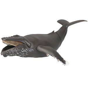 ソフビトイボックス013 クジラ (ザトウクジラ) (完成品)