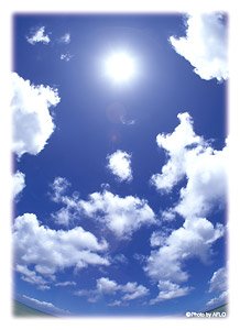 Broccoli Hybrid Sleeve [Blue Sky of That Summer] Revival (Card Sleeve)