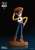 Miracle Land: Toy Story 3 - Woody (Completed) Item picture3