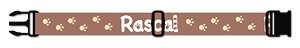 Rascal the Raccoon [Collecon Belt] Footnote Design (Anime Toy)