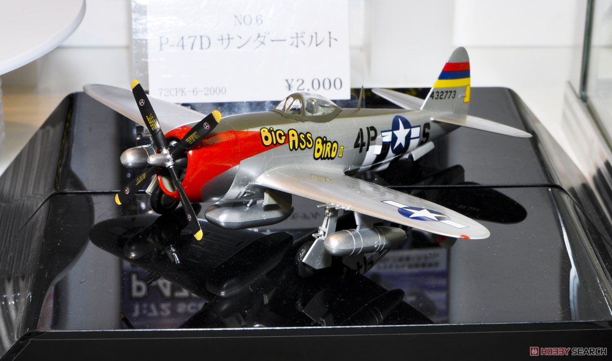 No.6 P-47D Thunderbolt (Plastic model) Other picture1