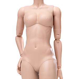 Super Flexible Female Base Model Plastic Joint Suntan Middle Bust (Fashion Doll)