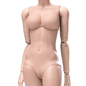 Super Flexible Female Base Model Plastic Joint Suntan Large Bust (Fashion Doll)