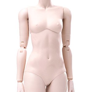 Super Flexible Female Base Model Plastic Joint Pale Little Bust (Fashion Doll)