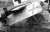 WW.I 独空軍 航空機用4色 ロゼンジ迷彩デカール (下面) (デカール) その他の画像5