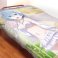 Re: Life in a Different World from Zero Comforter Cover (Rem) (Anime Toy) その他の画像1 Thumbnail