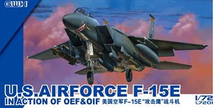 アメリカ空軍 F-15E 戦闘爆撃機 (プラモデル)