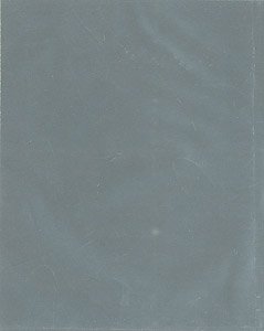 耐水ペーパー 10枚組 #2000 (教材)
