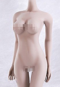 Female Super Flexible Seamless Pale Large Bust Real 1/6 Action Figure S07C (Fashion Doll)