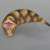 Soft Vinyl Toy Box 015 Tsuchinoko (Completed) Item picture7