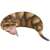 Soft Vinyl Toy Box 015 Tsuchinoko (Completed) Item picture1
