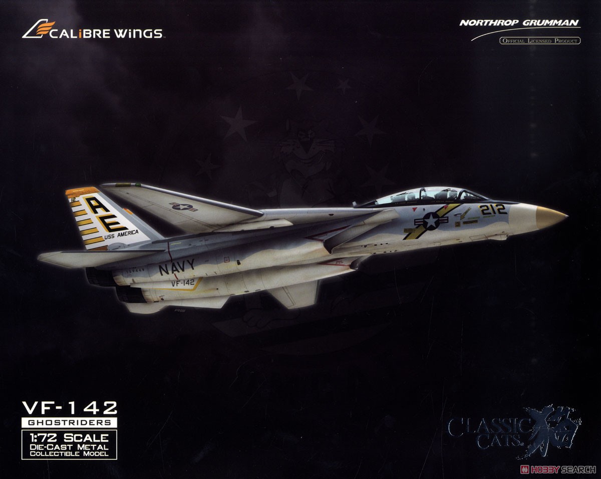 F-14A アメリカ海軍 VF-142 ゴーストライダース 1976 AE212 #159449 (完成品飛行機) パッケージ1