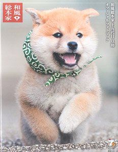 Wafu Sohonke Mamesuke the Nineteenth Official Photo Book (Art Book)