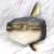 Ocean Sunfish Vinyl Model (Animal Figure) Item picture1