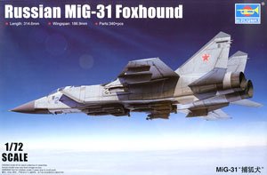 MiG-31 Foxhound (Plastic model)