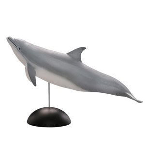#1-001 ハンドウイルカ (完成品)