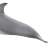 #1-001 Common bottlenose dolphin (Completed) Item picture3