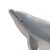 #1-001 Common bottlenose dolphin (Completed) Item picture1