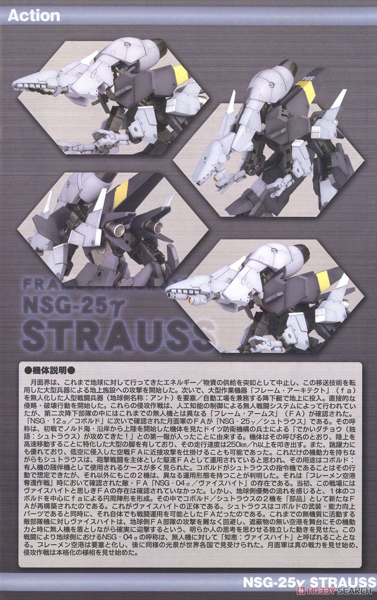 NSG-12 gamma Strauss:RE (Plastic model) About item1