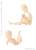 Picconeemo S Body Joint Reinforcement Version (Natural) (Fashion Doll) Other picture3