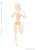 Picconeemo S Body Joint Reinforcement Version (Natural) (Fashion Doll) Other picture1