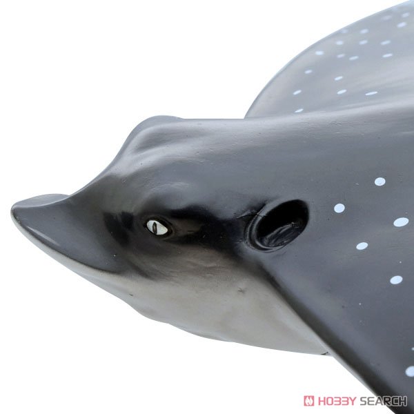 Ocean Spotted Eagle Ray Vinyl Model (Animal Figure) Item picture5