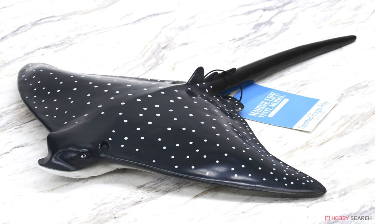 Ocean Spotted Eagle Ray Vinyl Model (Animal Figure) Item picture8