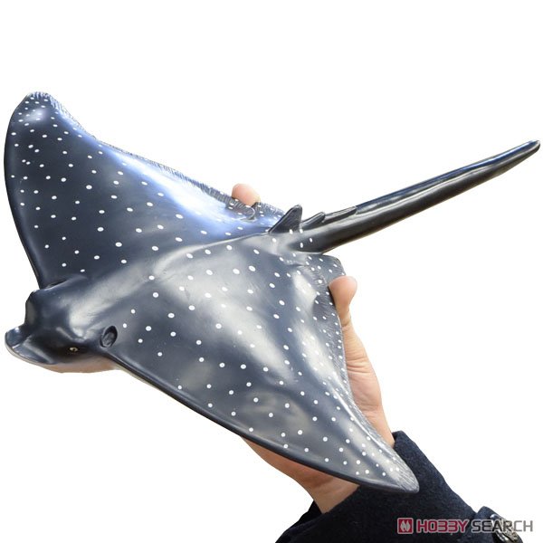 Ocean Spotted Eagle Ray Vinyl Model (Animal Figure) Other picture1