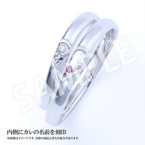 Boy Friend Beta Pair Ring Pair Model / Shu Sagisaka Set Four Size (Anime Toy)
