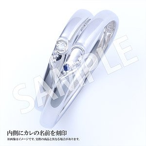 Boy Friend Beta Pair Ring Pair Model / Seishiro Tsutsumi Set Four Size (Anime Toy)
