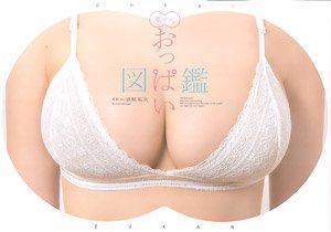 Full Size Oppai Picture Book (Art Book)